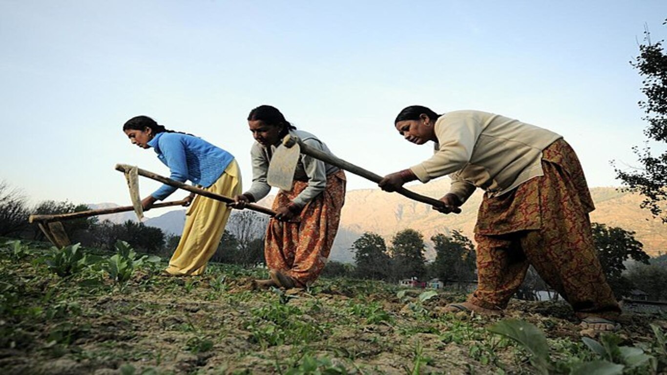 Local Committee and women in the informal sector in India